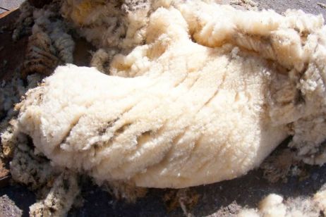 Wolle im Fokus – Teil II: Wollpflege