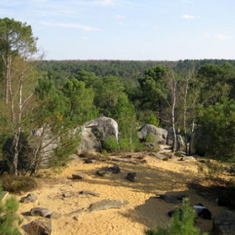 Ein Bouldertrip für Anfänger nach Fontainebleau