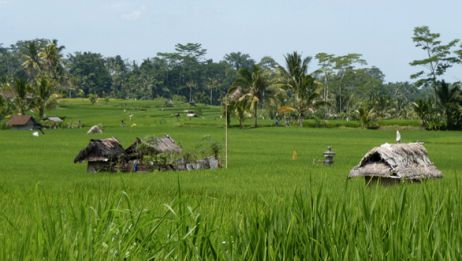 Java und Bali – vom ursprünglichen zum touristischen Indonesien –  3 Wochen Backpacking in Indonesien