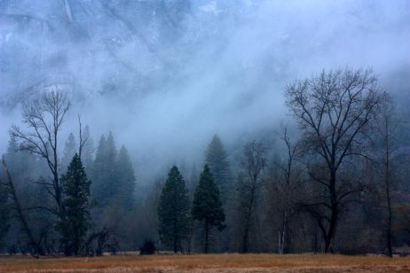 USA: Wälder im Regen – der Yosemite zum Herbstanfang