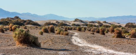 Death Valley in den USA: Die wahre Wüste