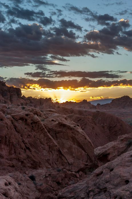 Death Valley in den USA: Die wahre Wüste