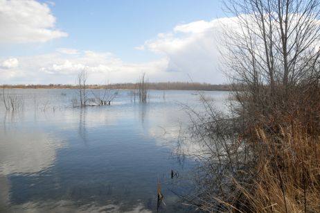 Direkt vor der Haustür los: Seenwanderungen in Leipzig