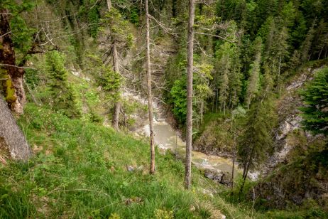 Radrundtour in den Alpen: Reliefenergie und Kuchenmotor
