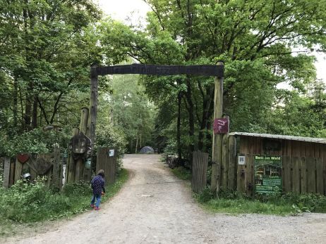 www mal anders: Waldcamping, Waldbaden und Wandern im Erzgebirge