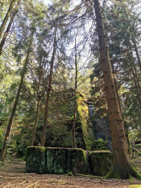 Forststeig: Waldtheater oder Opferstein?