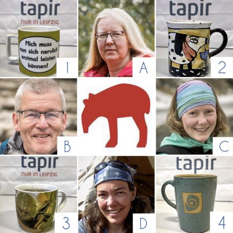 tapir-Vorweihnachts-Rätsel: 1. Advent