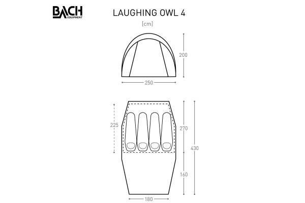 Laughing Owl 4